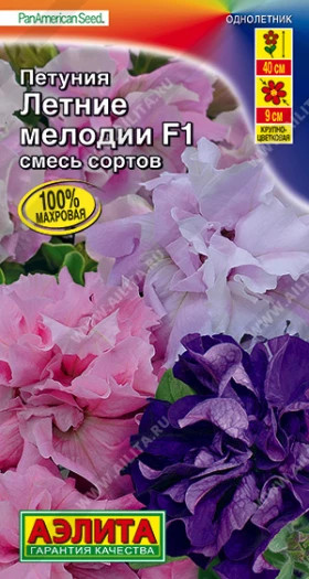 Летние мелодии Ц(А)