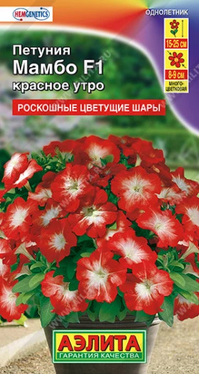 Мамбо красное утро многоцв Ц(А)