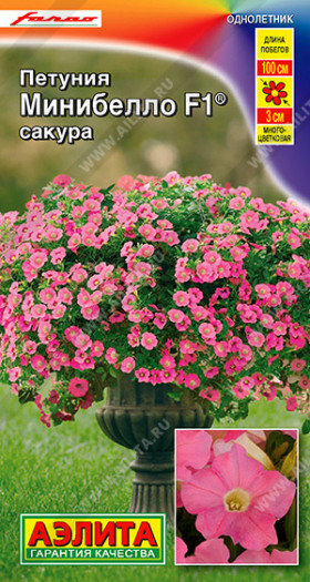 Минибелло сакура Ц(А)