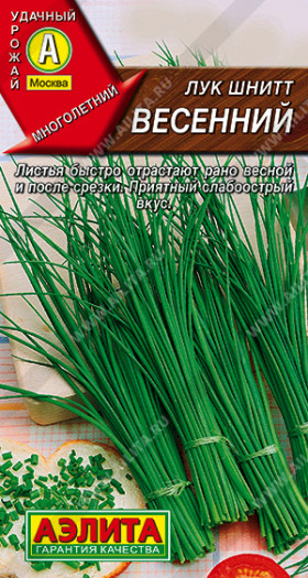 Шнитт Весенний Ц(А)