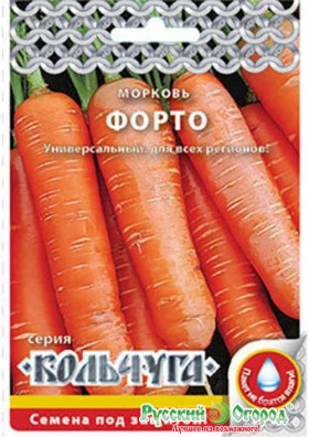 Форто Кольчуга