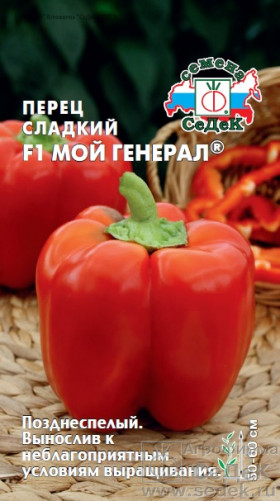 Мой Генерал Ц(С)