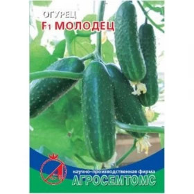 Молодец Киров