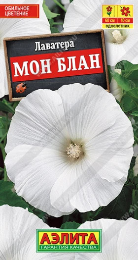 Мон Блан Ц(А)