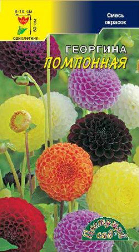 Помпонная, смесь /Цветущий Сад