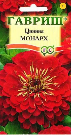 Монарх Ц(Г) цинния