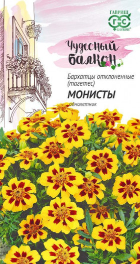 Монисты Ц(Г)