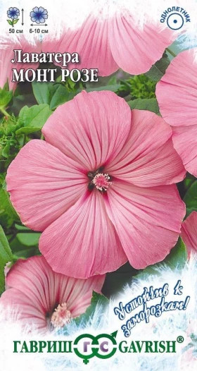 Монт Розе Ц(Г)