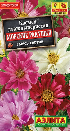 Морские ракушки Ц(А)