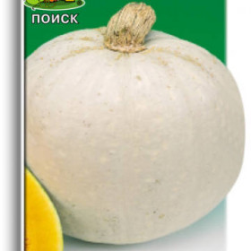 Атлант Крупноплодная Ц(Поиск)