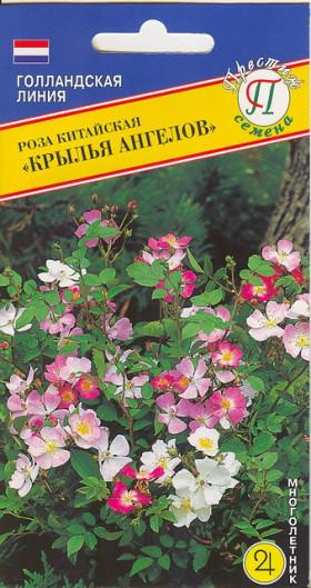 Крылья Ангелов Ц(П)