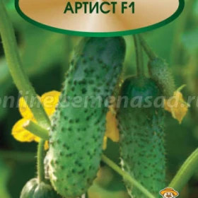 Артист 10шт.Ц(Поиск)