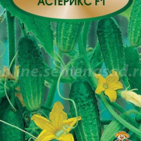 Астерикс 10 шт.Ц(Поиск)