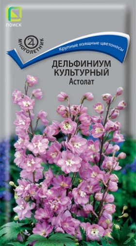 Астолат Ц(Поиск)