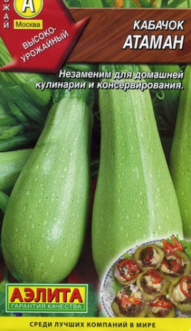 Атаман цуккини Ц(А)