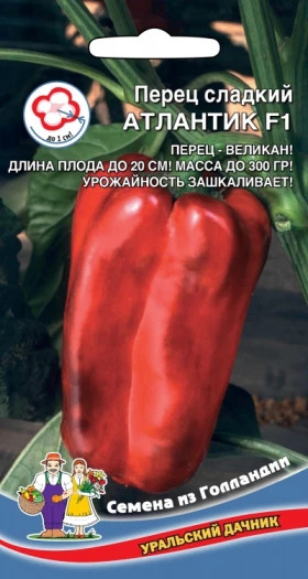 Атлантик сладкий Ц(УД)