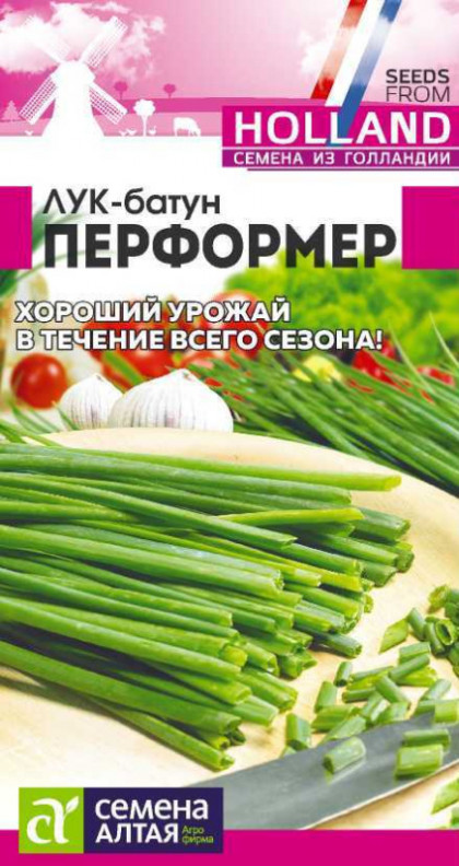 Батун Перформер Голландск. Ц(Алт)