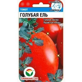 Голубая Ель СС