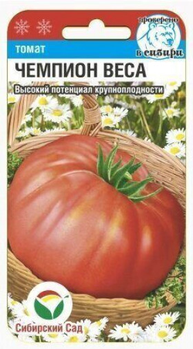 Чемпион веса СС