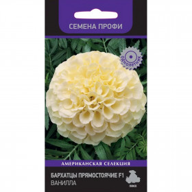 Ванилла Ц(Поиск)