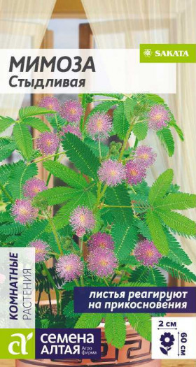 Стыдливая 0,1гр Ц(Алт)