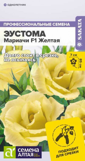Мариачи Желтая 3шт Ц(Алт)