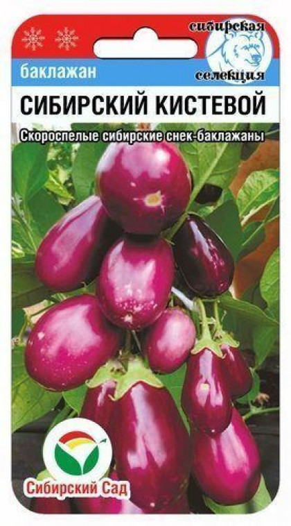Сибирский кистевой СС