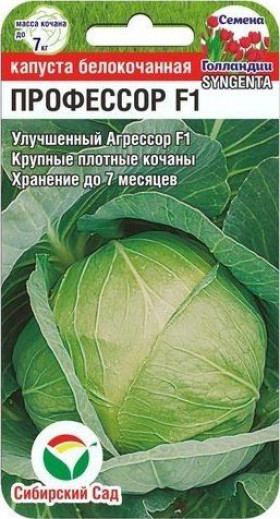 Профессор СС