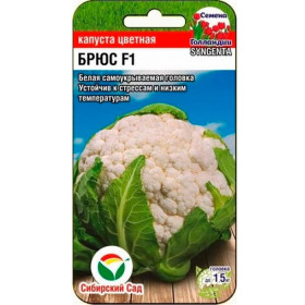 цветная Брюс СС