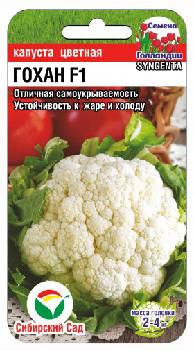 цветная Гохан СС