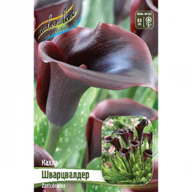 Шварцвалдер 2шт