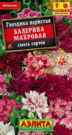 Балерина  махровая смесь Ц(А)