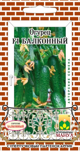 Балконный Манул