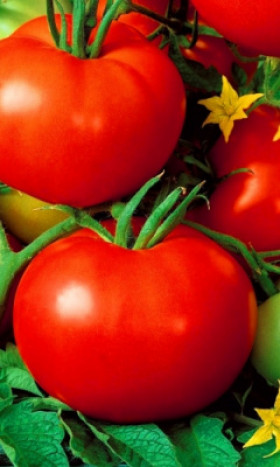 Барон Киров