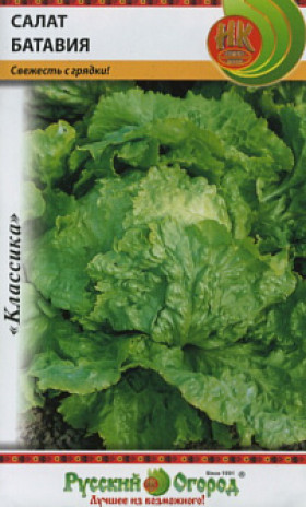 Батавия Ц(Н)