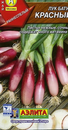 Батун Красный Ц(А)