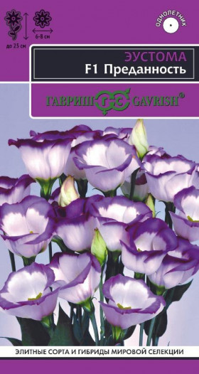 Преданность F1 горшечная 4шт Ц(Г)