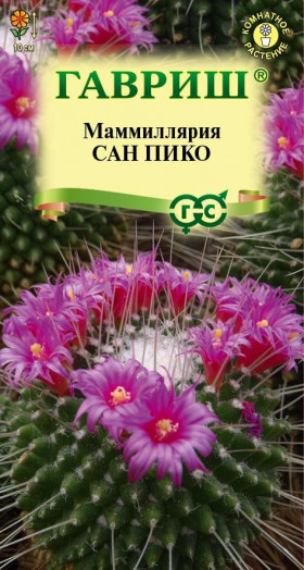 Маммиллярия Толука Сан пико 2шт Ц(Г)