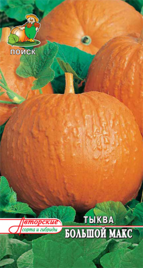 Большой Макс Ц(Поиск)