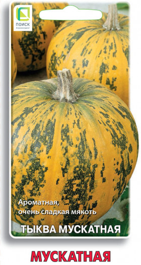 Мускатная Ц(Поиск)