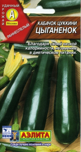 Цыганенок цуккини Ц(А)
