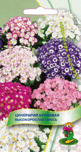 Высокорослая смесь Ц(Поиск)