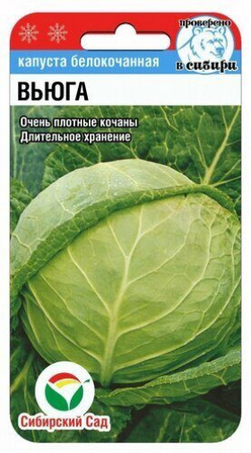 Вьюга б/к СС