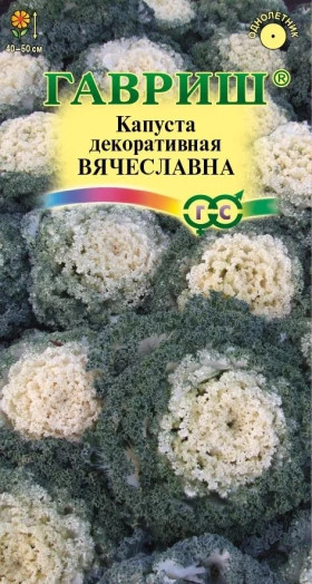 Вячеславна белая Ц(Г)