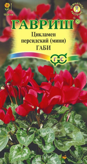 Габи персидский 3шт Ц(Г)