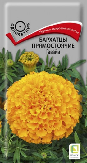 Гавайи Ц(Поиск)