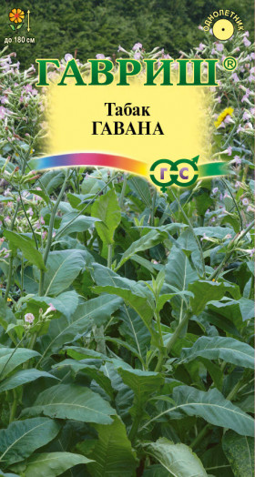 Гавана курительный Ц(Г)