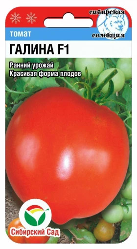 Галина F1 15шт СС