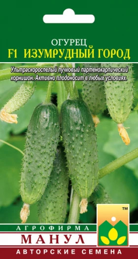 Изумрудный город Манул