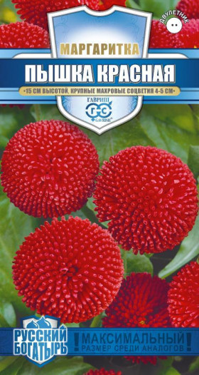 Пышка красная Ц(Г)